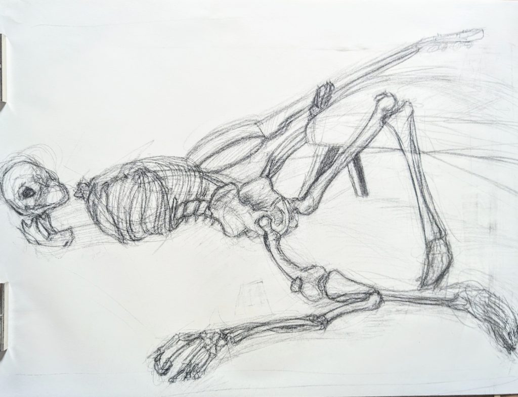 Mr.Bones study 4: CSI